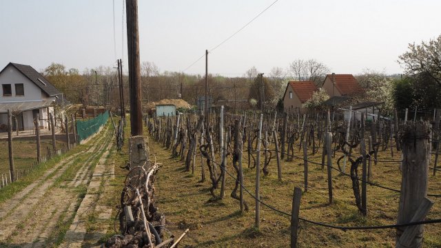 Eladó telek, Szekszárdon 35 M Ft / költözzbe.hu