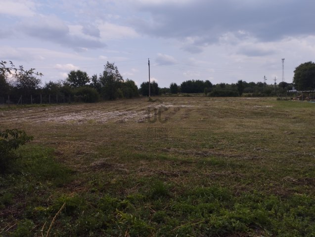 Eladó telek, Nógrádon 38 M Ft / költözzbe.hu