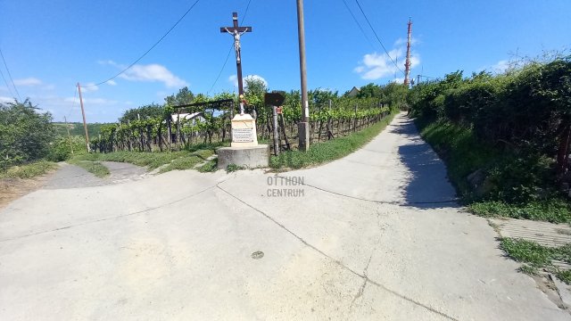 Eladó mezogazdasagi ingatlan, Szekszárdon 5.7 M Ft
