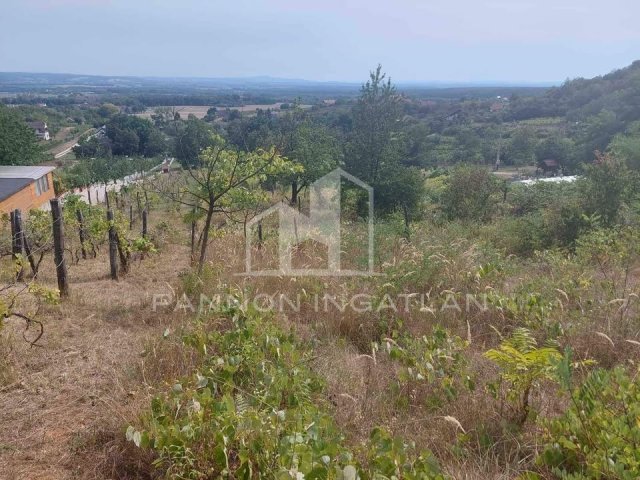 Eladó mezogazdasagi ingatlan, Magyarpolányban 9.9 M Ft