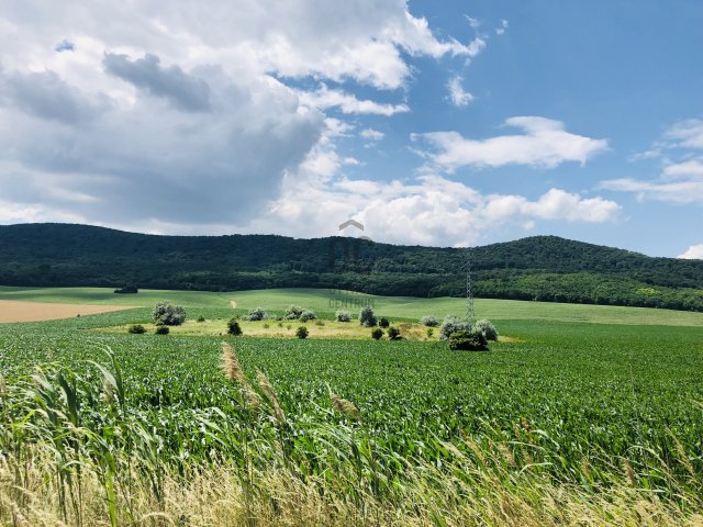 Eladó mezogazdasagi ingatlan, Solymáron 3.99 M Ft