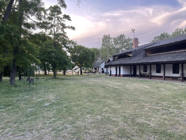 Eladó családi ház, Fülöpházán 110 M Ft, 11 szobás