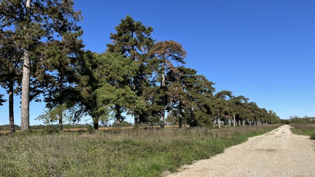 Eladó telek, Keszthelyen 21.638 M Ft / költözzbe.hu