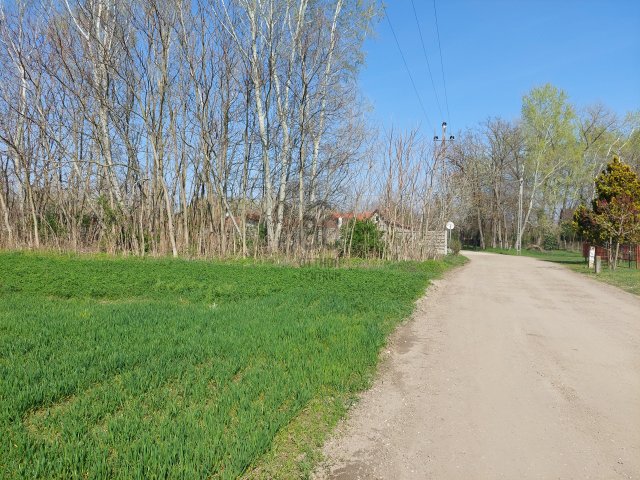 Eladó telek, Dömsödön 19.9 M Ft / költözzbe.hu