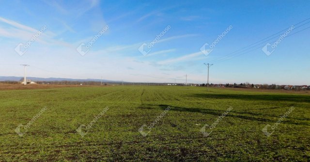 Eladó mezogazdasagi ingatlan, Mezőkövesden, Egri úton 19 M Ft