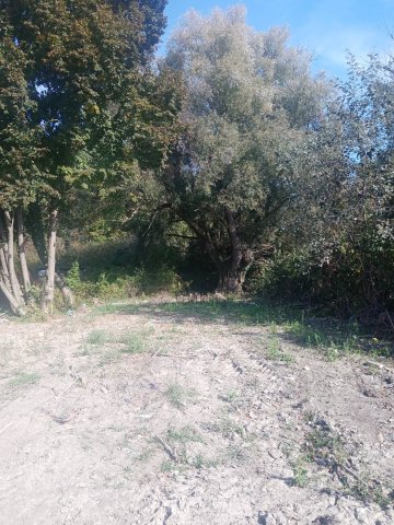 Eladó telek, Ráckevén 7.5 M Ft / költözzbe.hu