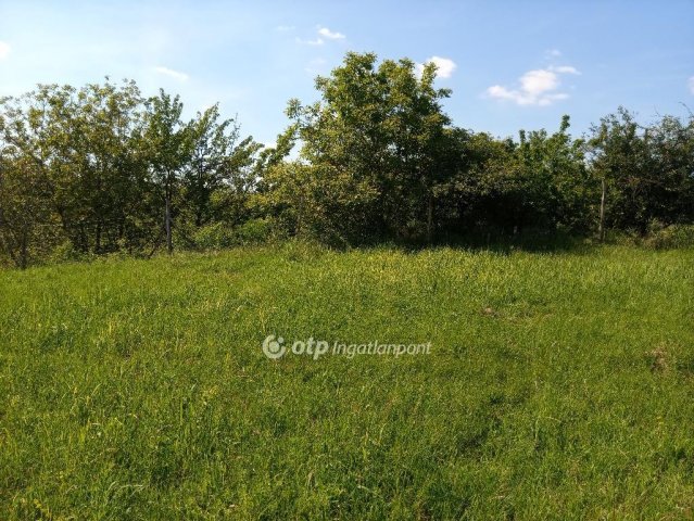 Eladó telek, Gyönkön 7.5 M Ft / költözzbe.hu