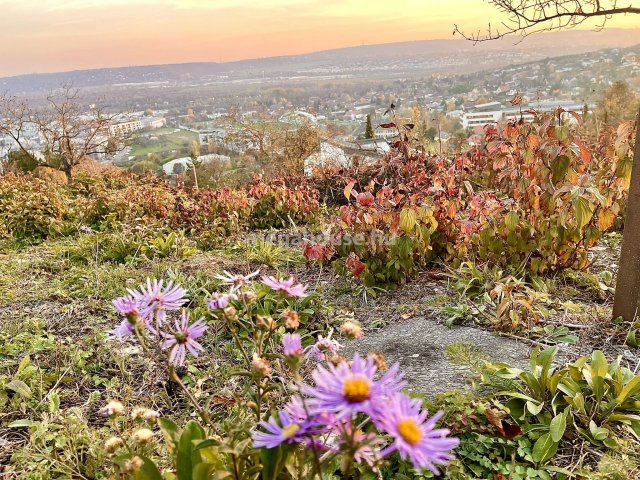 Eladó telek, Budaörsön 576 M Ft / költözzbe.hu