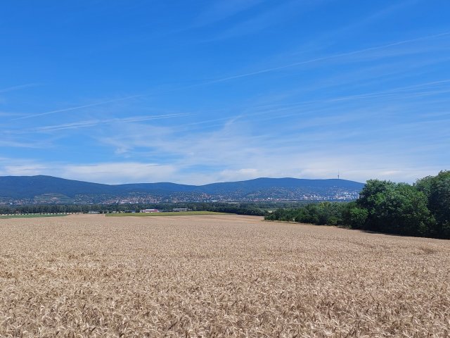 Eladó telek, Gyódon 4.9 M Ft / költözzbe.hu