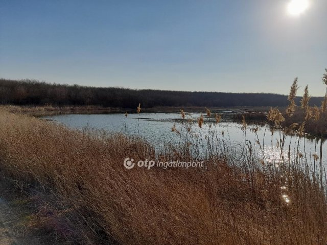 Eladó mezogazdasagi ingatlan, Úrin 60 M Ft / költözzbe.hu