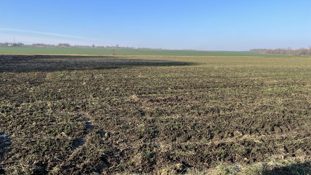 Eladó telek, Balatonkeresztúron, Sport utcában 6.99 M Ft