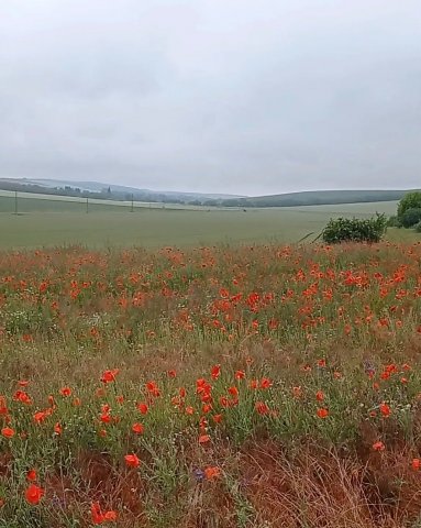 Eladó telek, Versegen 6.99 M Ft / költözzbe.hu