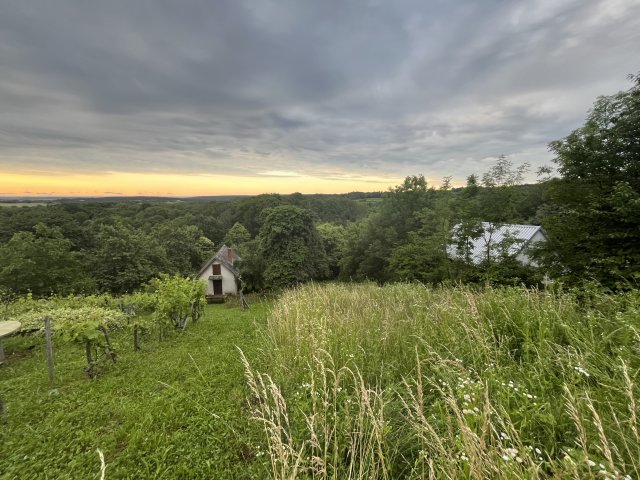 Eladó telek, Kőszegdoroszlón 17.99 M Ft / költözzbe.hu