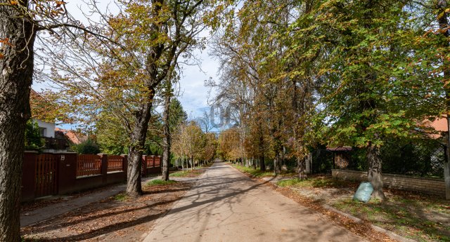 Eladó telek, Piliscsabán 29.9 M Ft / költözzbe.hu