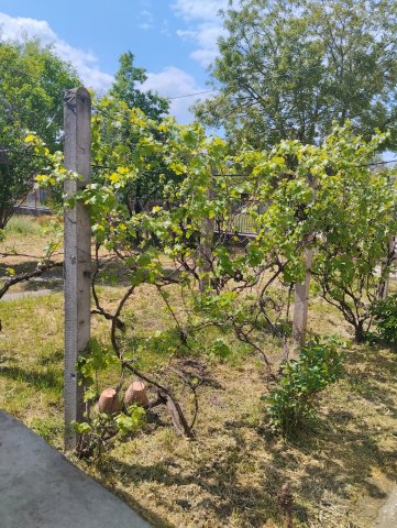Eladó családi ház, Abonyban 21.5 M Ft, 2 szobás