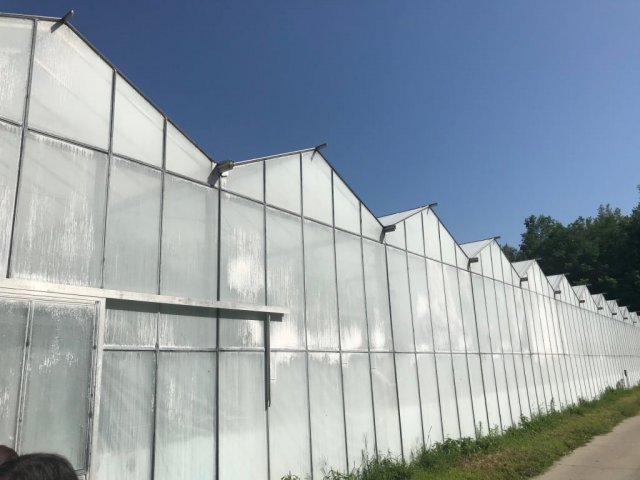Eladó mezogazdasagi ingatlan, Kiskunfélegyházán 815 M Ft
