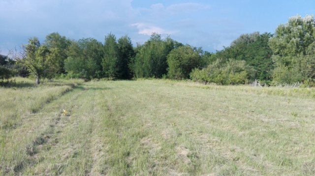 Eladó telek, Győrött 10 M Ft / költözzbe.hu