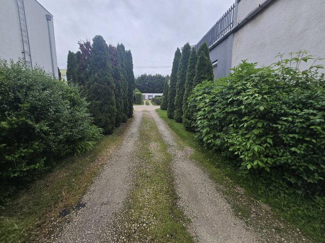 Eladó téglalakás, Polgárdin 45 M Ft, 4 szobás