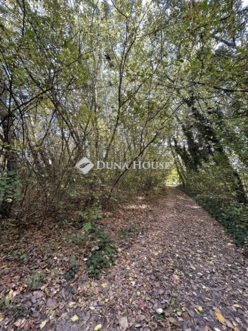 Eladó telek, Dömsödön 5.5 M Ft / költözzbe.hu