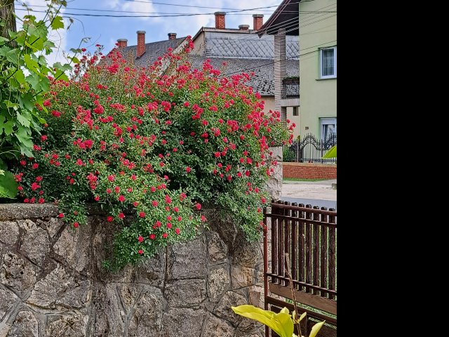 Eladó családi ház, Tényőn 59.9 M Ft, 7 szobás