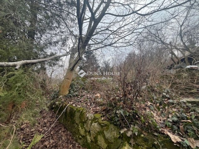 Eladó családi ház, Pécsett 61.5 M Ft, 3 szobás