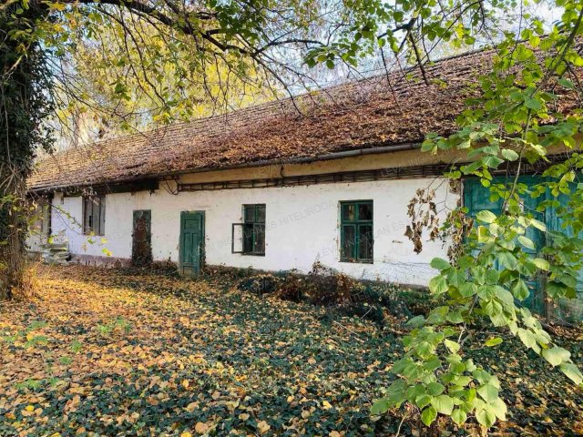 Eladó telek, Csabaszabadiban 42 M Ft, 4+1 szobás