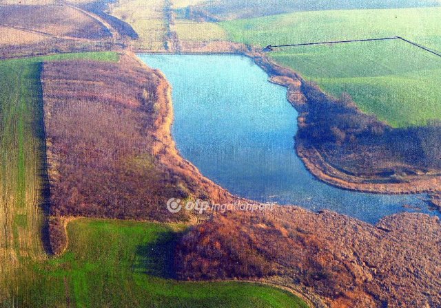 Eladó mezogazdasagi ingatlan, Úrin 400 M Ft / költözzbe.hu