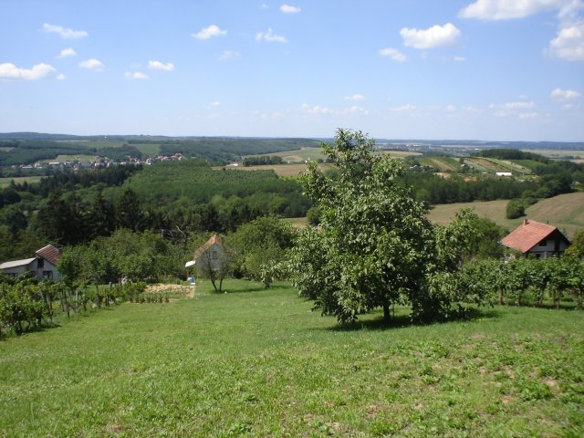 Eladó mezogazdasagi ingatlan, Zalaegerszegen 13.9 M Ft