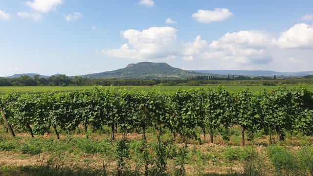 Eladó telek, Gyulakeszin 24.9 M Ft / költözzbe.hu