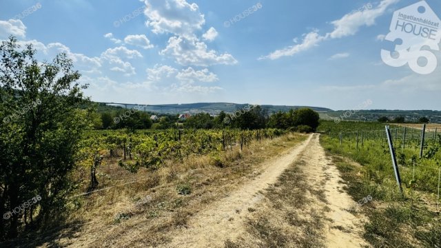 Eladó mezogazdasagi ingatlan, Kőröshegyen 29.9 M Ft