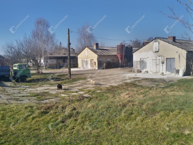 Eladó mezogazdasagi ingatlan, Szabadiban 92.6 M Ft