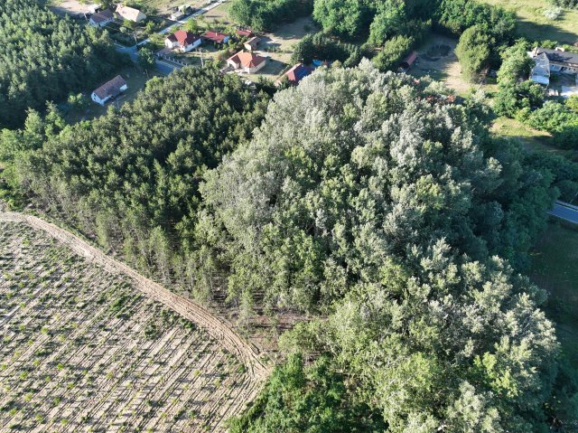 Eladó telek, Kecskeméten 139 M Ft / költözzbe.hu