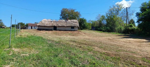 Eladó családi ház, Balatonberényben 14.5 M Ft, 1 szobás