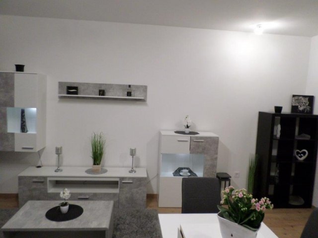 Kiadó téglalakás, albérlet, Budapesten, III. kerületben