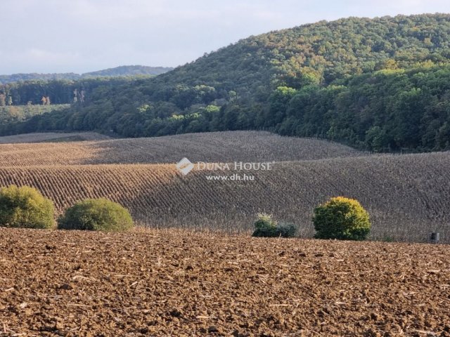 Eladó telek, Tarjánon 17.5 M Ft / költözzbe.hu