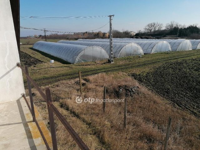 Eladó családi ház, Tótkomlóson 18 M Ft, 4 szobás