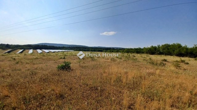 Eladó mezogazdasagi ingatlan, Balatonudvariban 39.9 M Ft