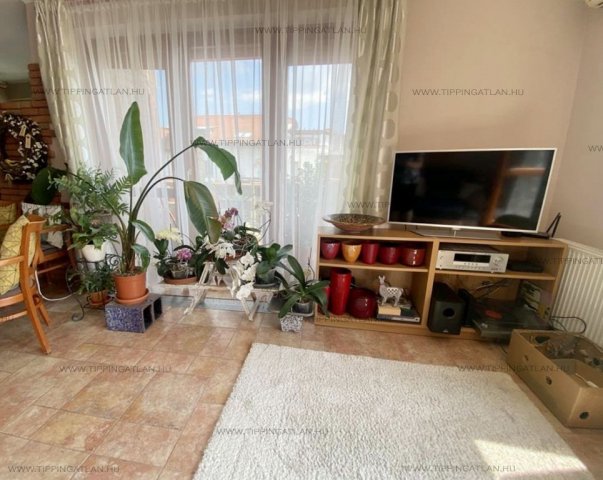 Kiadó téglalakás, albérlet, Budakalászon 230 E Ft / hó