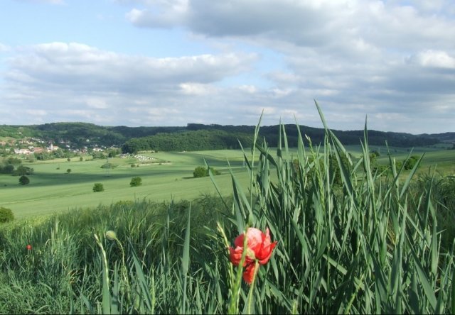 Eladó ipari ingatlan, Kapolyon 29.9 M Ft / költözzbe.hu