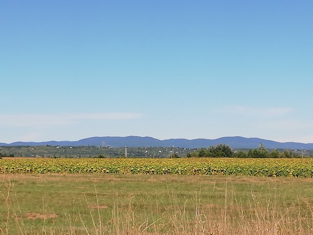 Eladó telek, Hejőkeresztúron 3.8 M Ft / költözzbe.hu