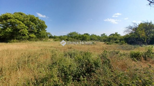 Eladó mezogazdasagi ingatlan, Balatonudvariban 7.9 M Ft