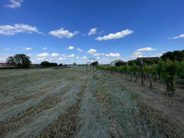 Eladó telek, Szekszárdon, Szilas utcában 17.5 M Ft