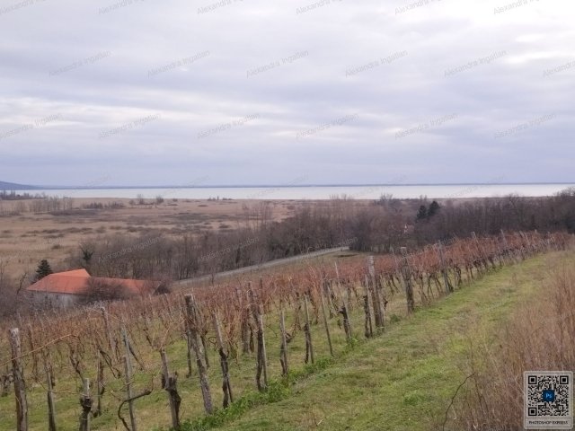 Eladó telek, Szigligeten 75 M Ft / költözzbe.hu