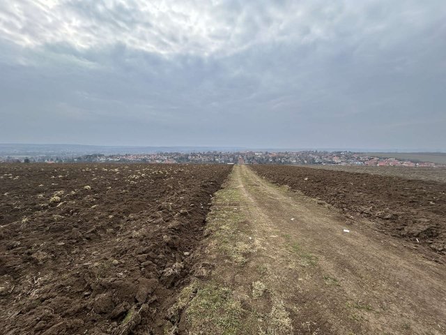 Eladó ipari ingatlan, Aszódon 1685.313 M Ft / költözzbe.hu