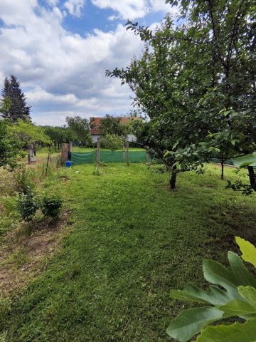 Eladó családi ház, Pécsett 24.9 M Ft, 2 szobás