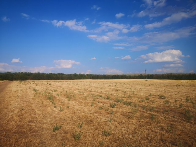 Eladó telek, Gyömrőn 150 M Ft / költözzbe.hu