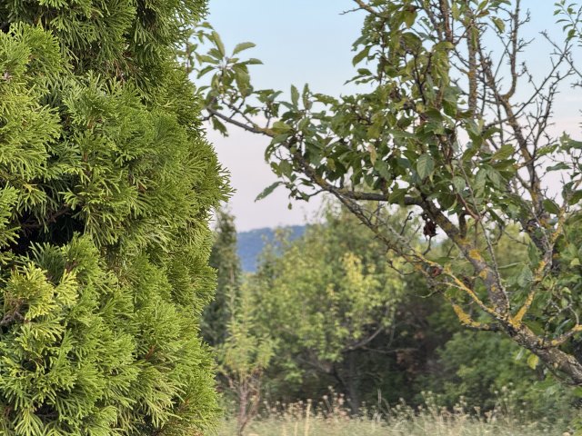 Eladó telek, Balatonfüreden 240 M Ft / költözzbe.hu