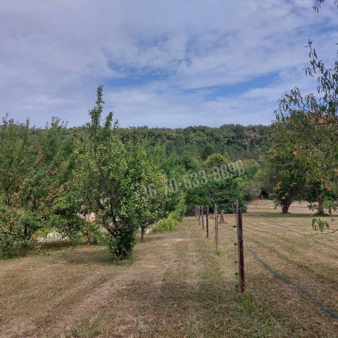 Eladó telek, Balatongyörökön 28 M Ft / költözzbe.hu