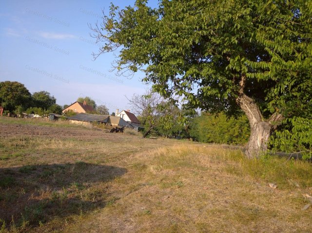 Eladó telek, Cibakházán 2.5 M Ft, 1 szobás