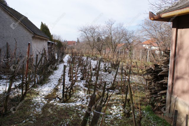 Eladó telek, Székesfehérvárott 160 M Ft / költözzbe.hu